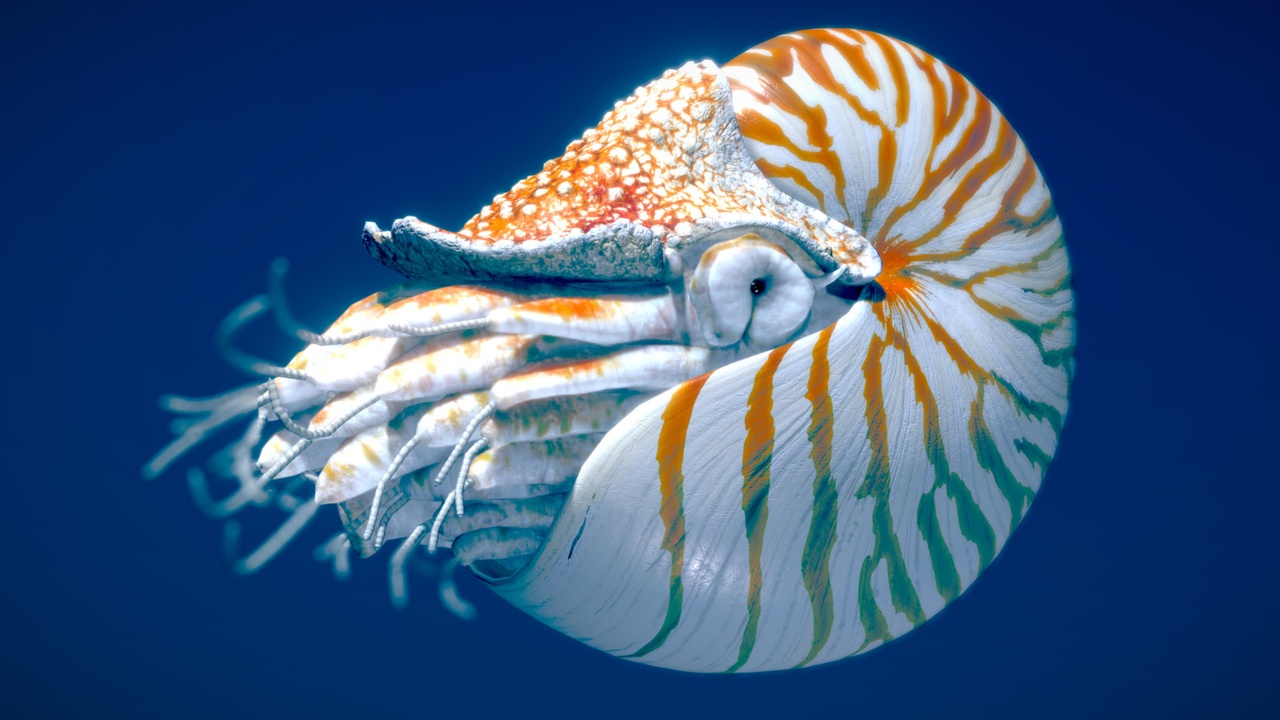 Media 1 for listing Deep Sea Abyss & Mysterious Biome - Rigged Marine Pack Vol. 2