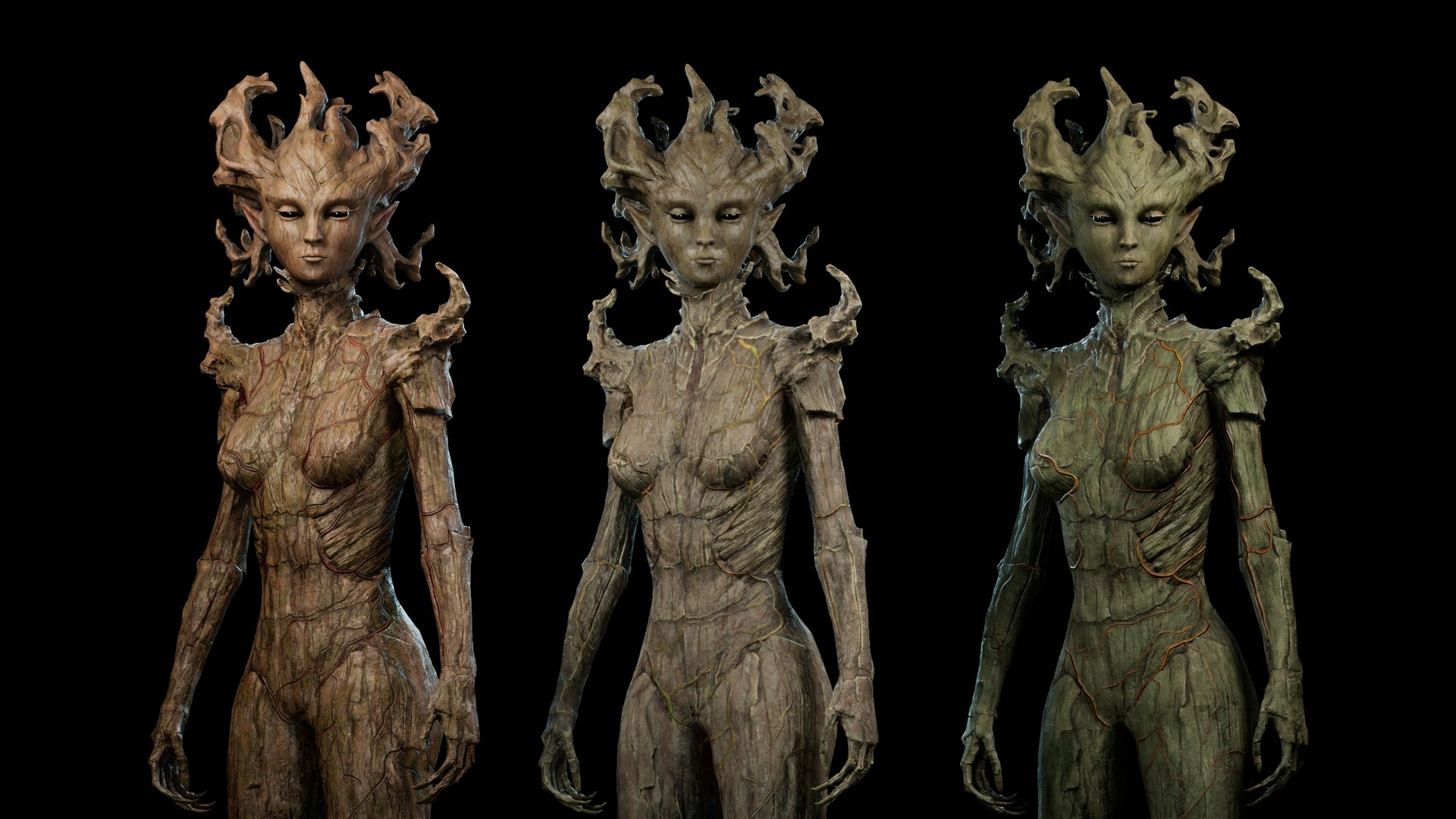 Media 1 for listing Dryad