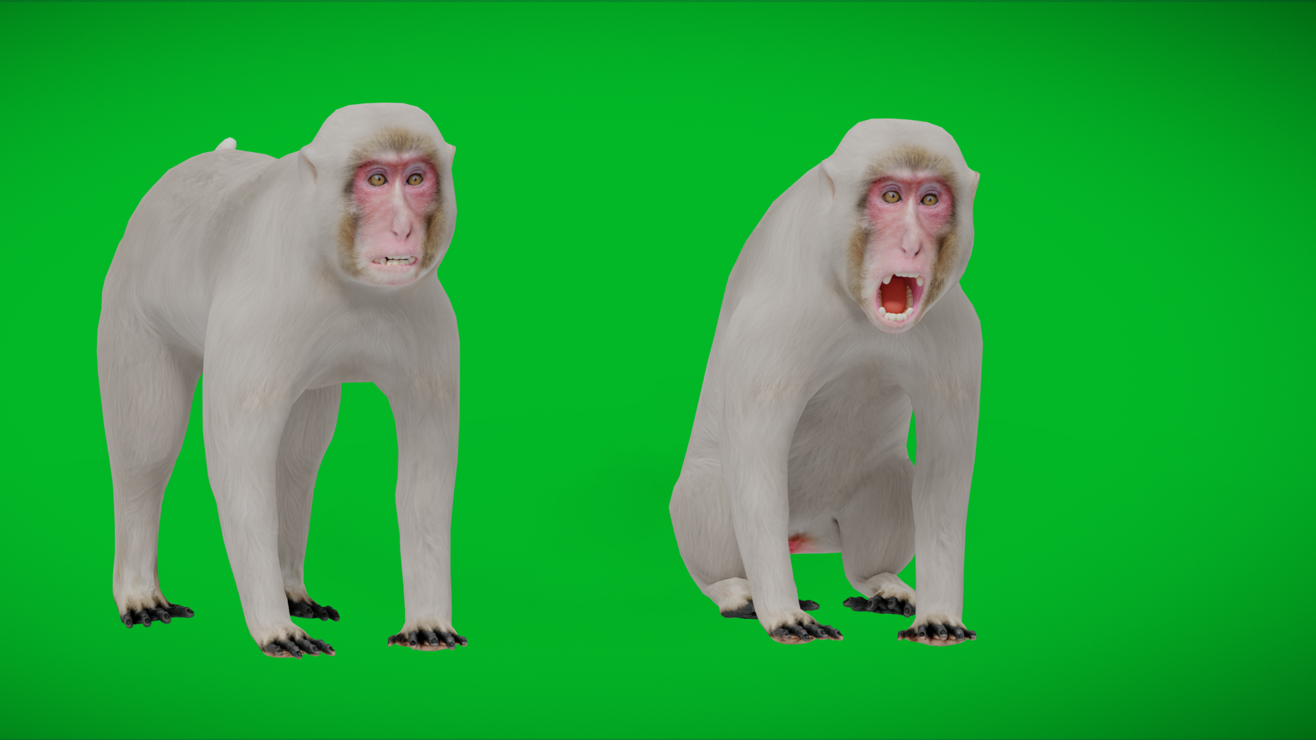 Snow Monkey (GameReady) | Fab