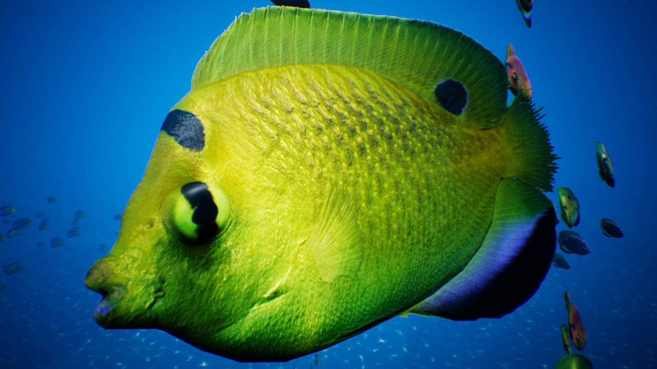 Media 1 for listing Fish School System
