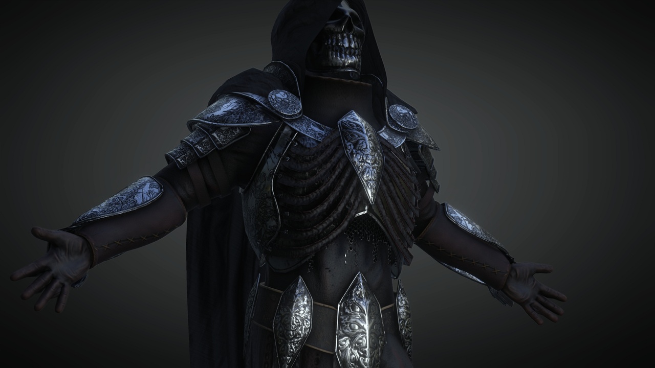 Media 1 for listing Necromancer Armor