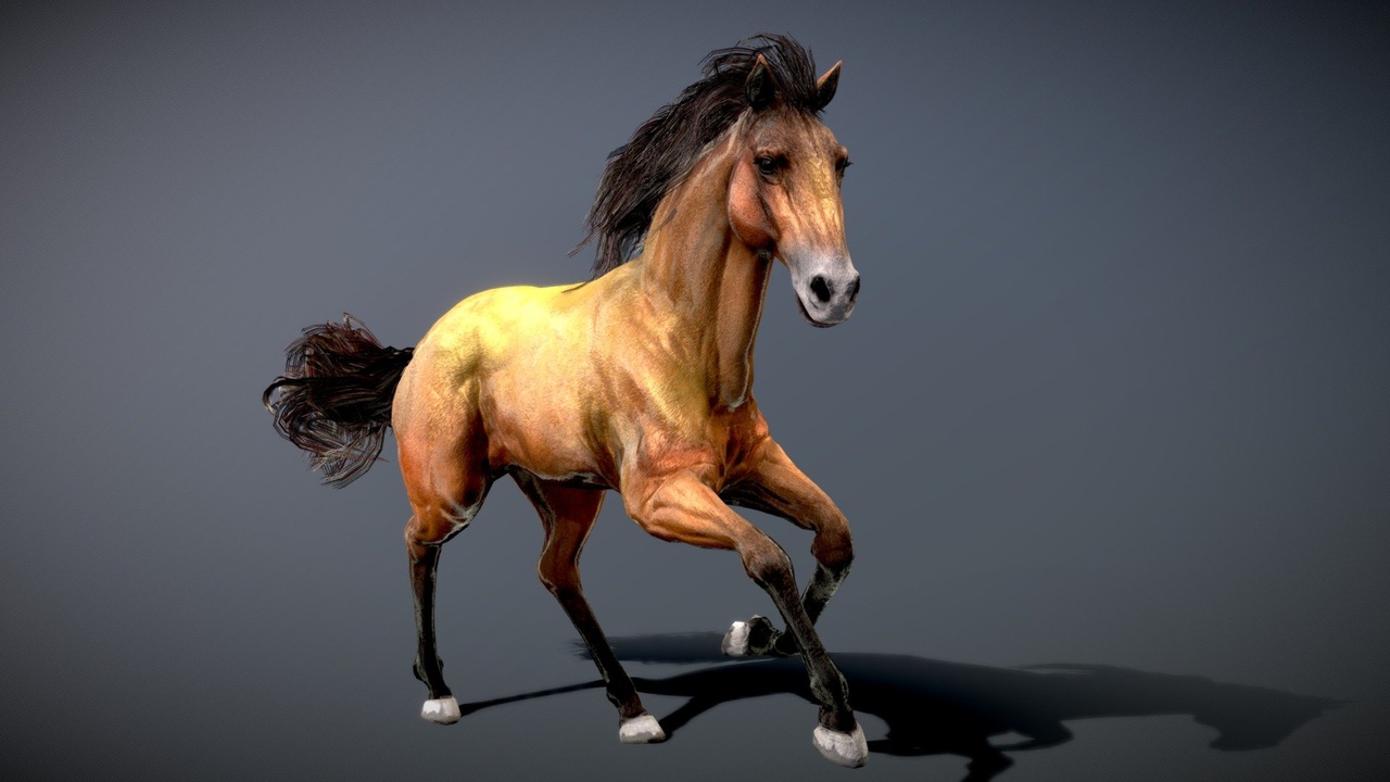 Media 1 for listing Horse — Spanish Mustang ( Dun )