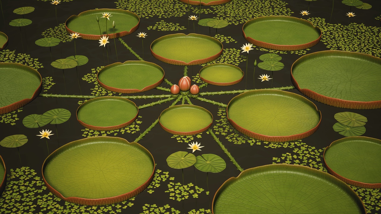 商品 Water Plants and Flowers 的媒体 1