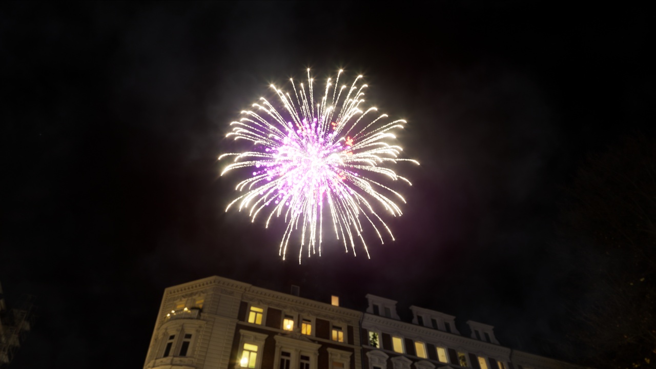Media 1 for listing Fireworks With Sounds