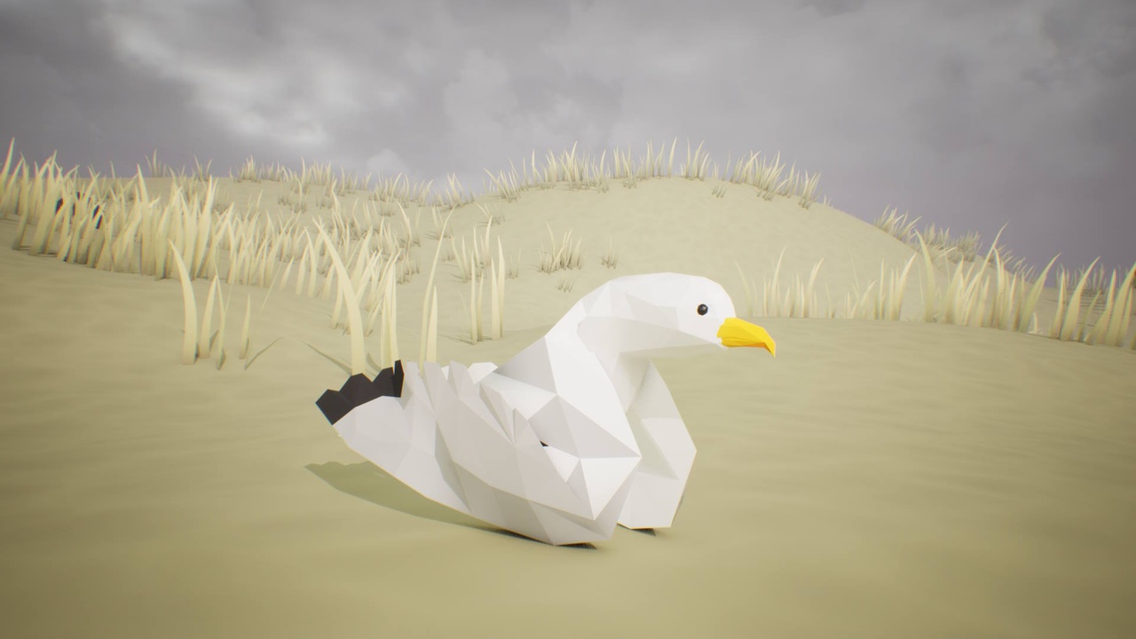 Media 1 for listing Low Poly Bird: Seagull