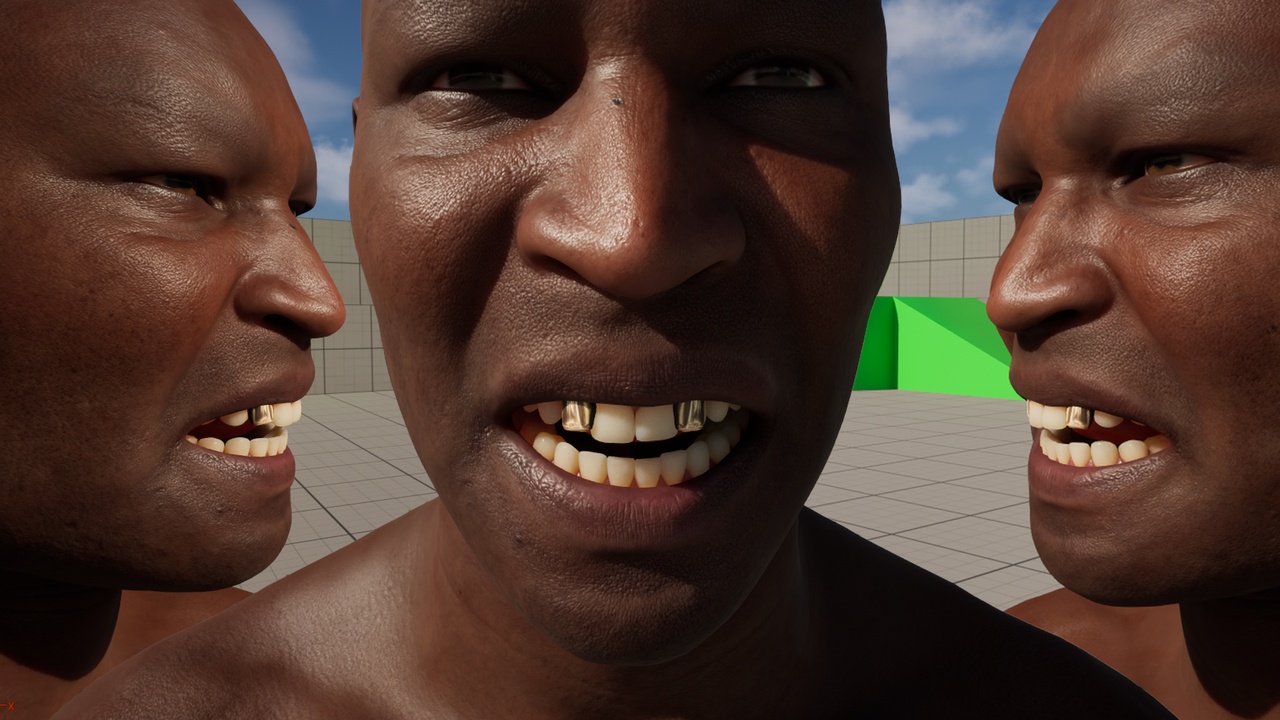 Media 1 for listing Metahuman Grillz