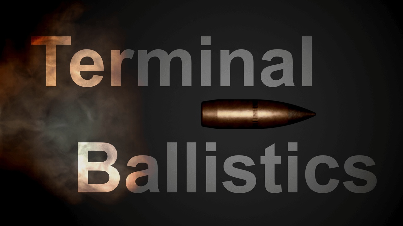 Media 1 for listing Terminal Ballistics