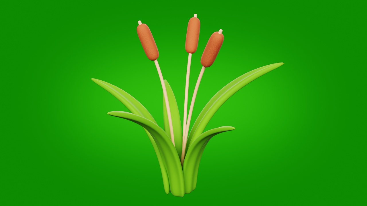 Media 1 for listing Cattail