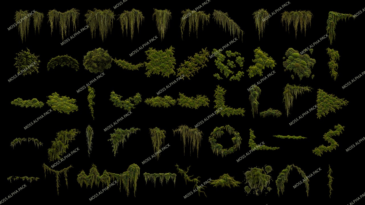 Media 1 for listing 50 Moss Alphas Vol. 01 – 4K Moss Decals & Environment Textures