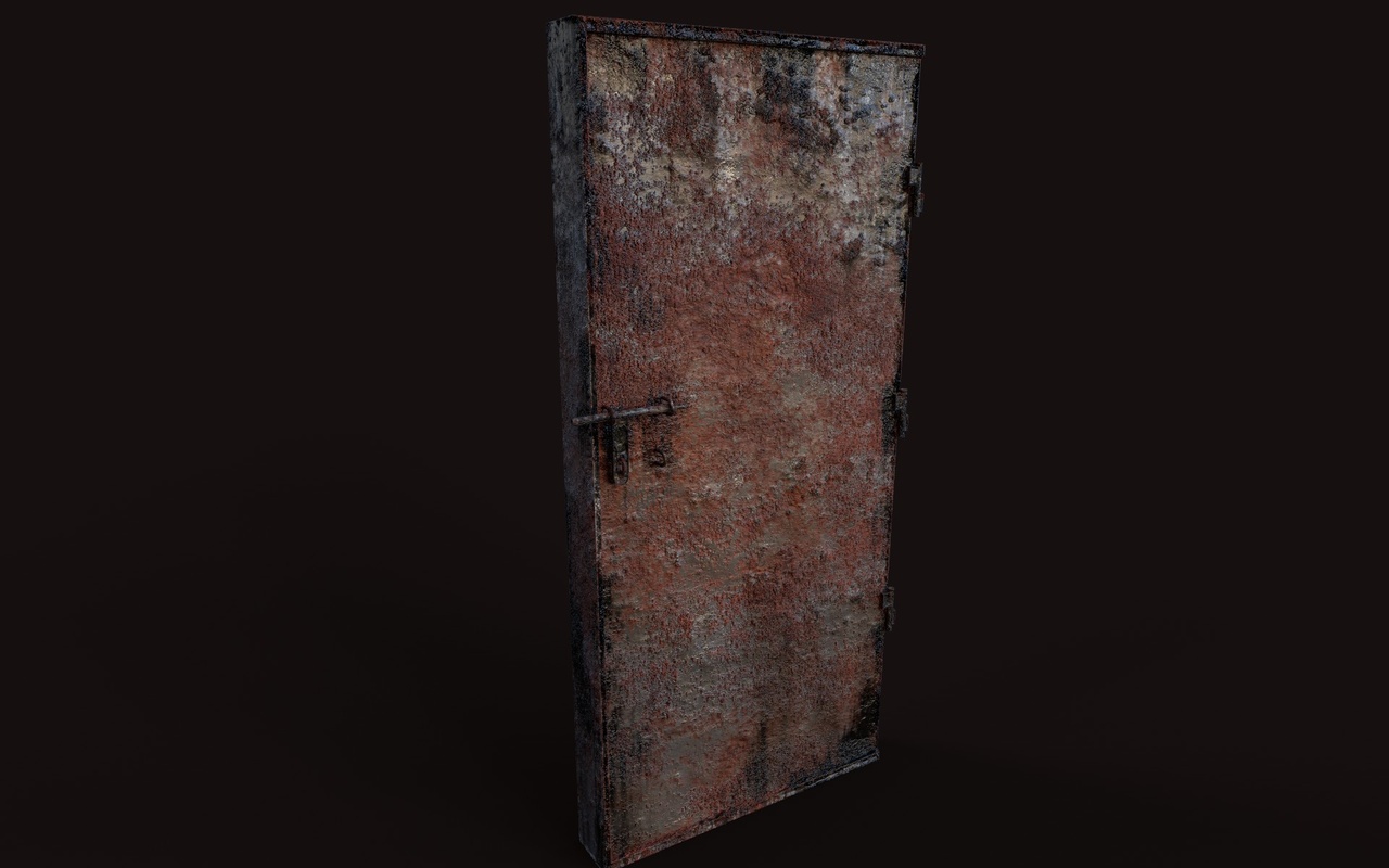 Media 1 for listing Door Single Rusted