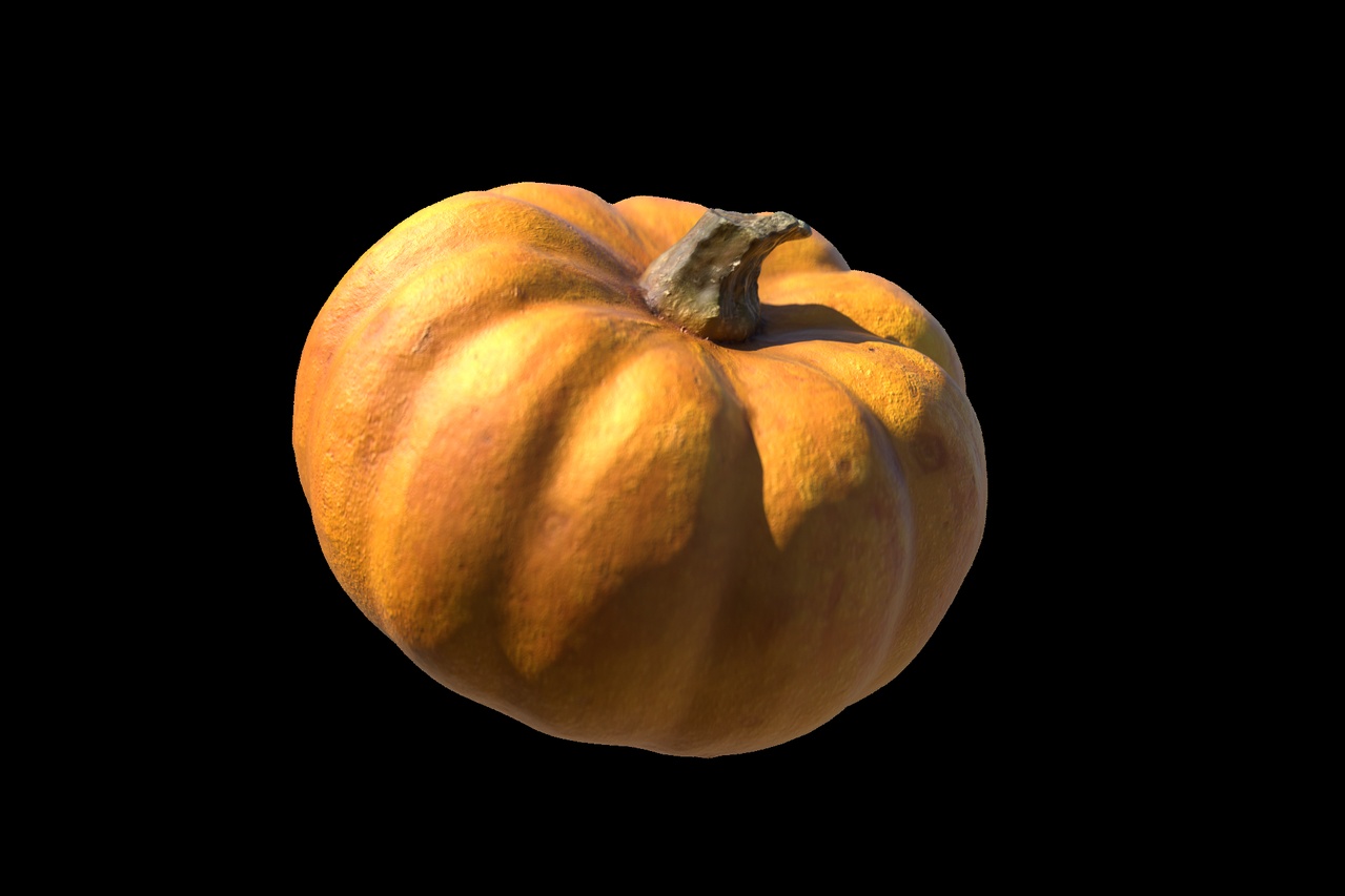 Media 1 for listing Small Munchkin Pumpkin