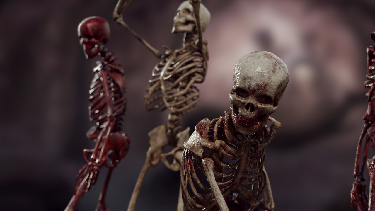 Media 1 for listing Human Skeleton