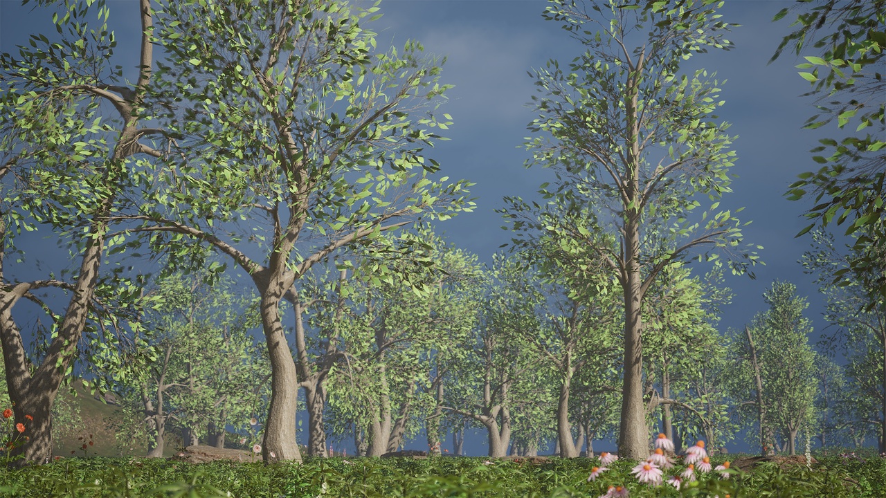 Media 1 for listing Realistic Low Poly Tree Pack 44M