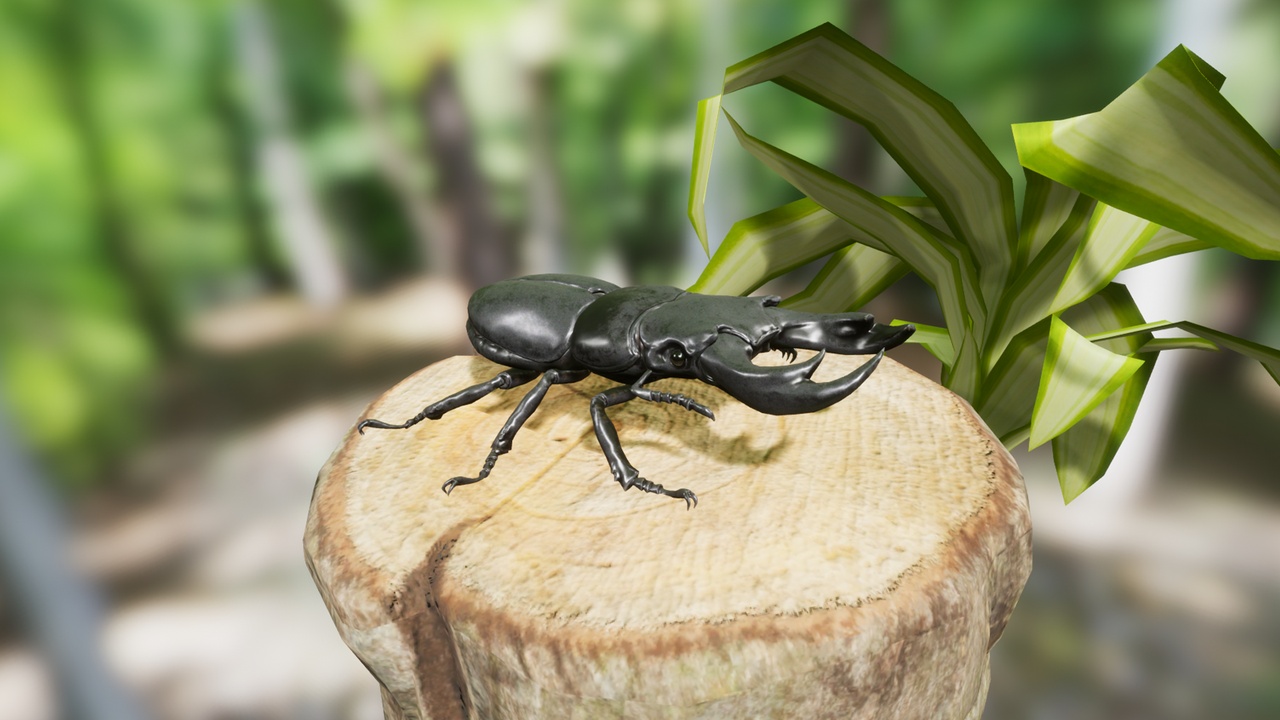 出品Insect Packのメディア1