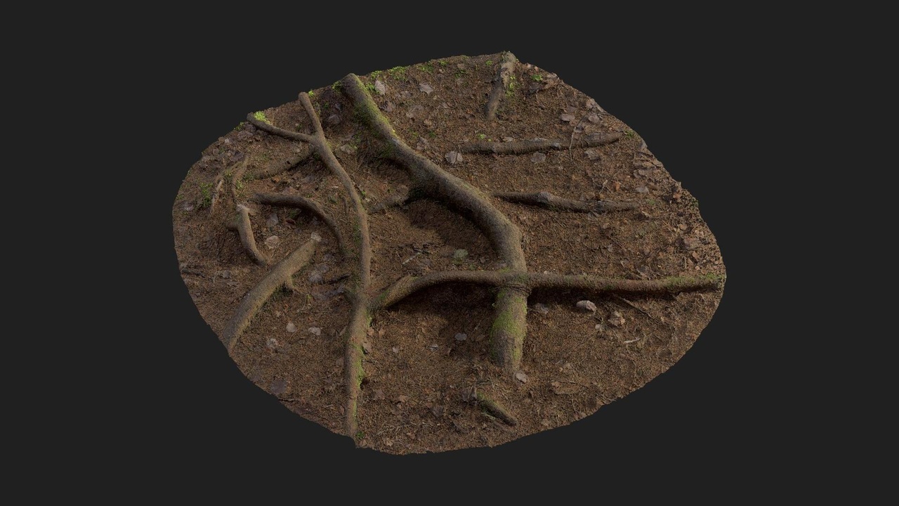 商品 Nordic Forest Ground Patch Root 的媒体 1