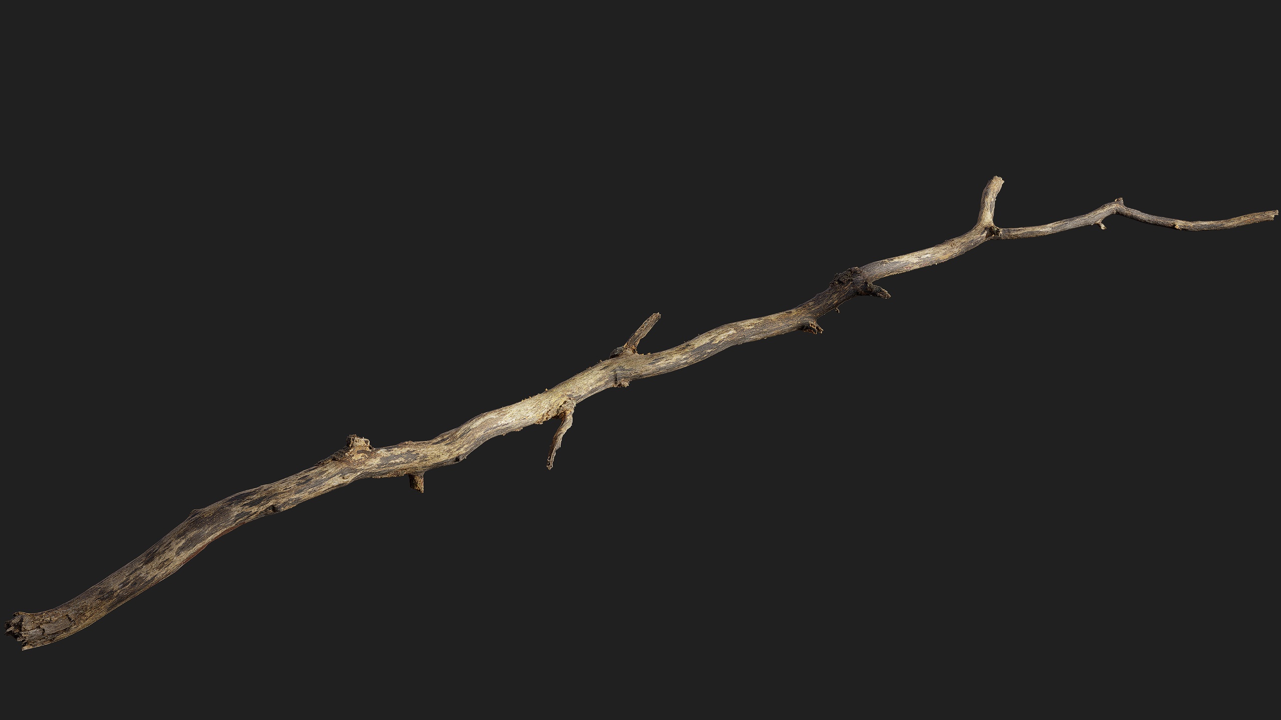 Media 1 for listing Broken Branch 02
