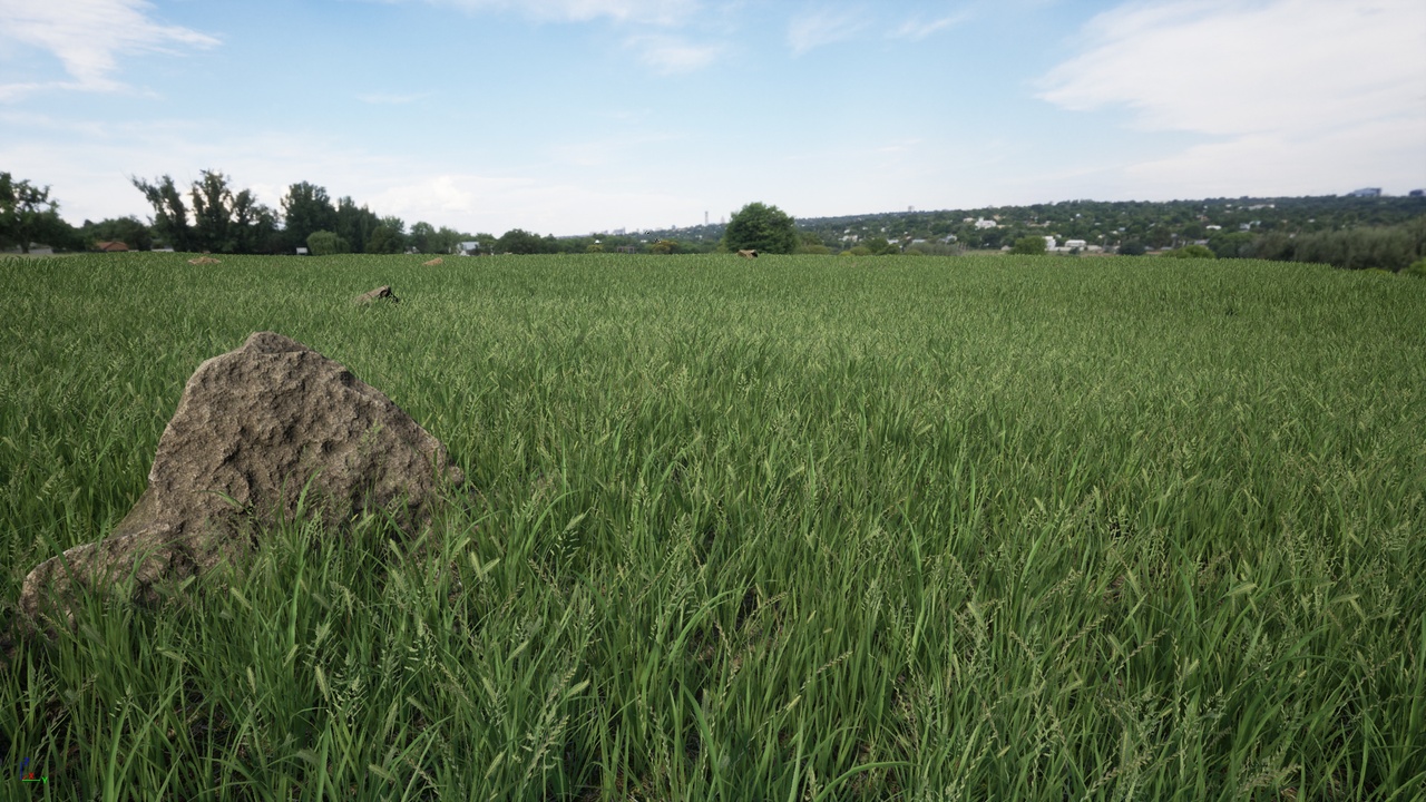 Media 1 for listing Field Grass Pack