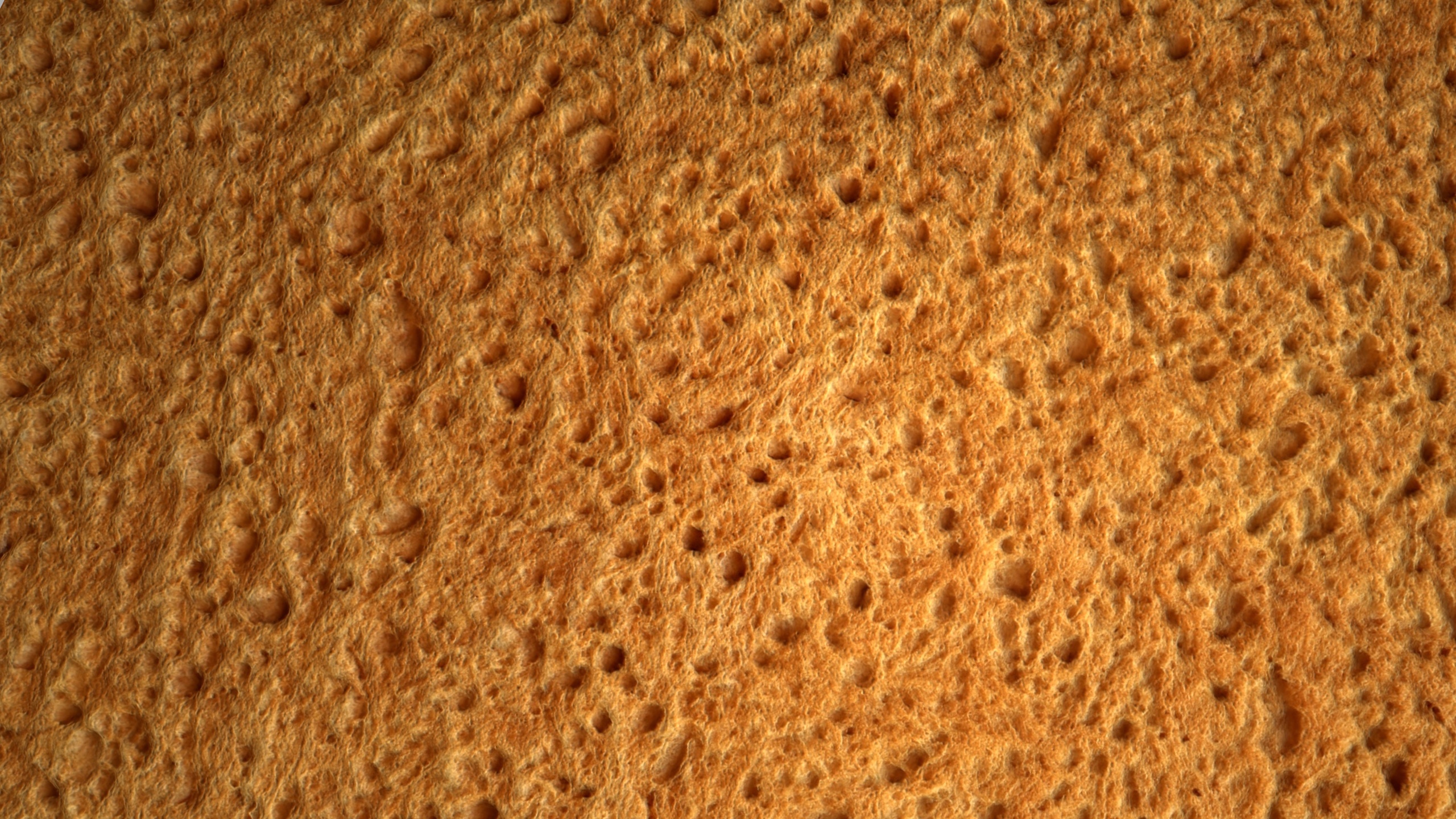 Media 1 for listing Bread PBR Texture
