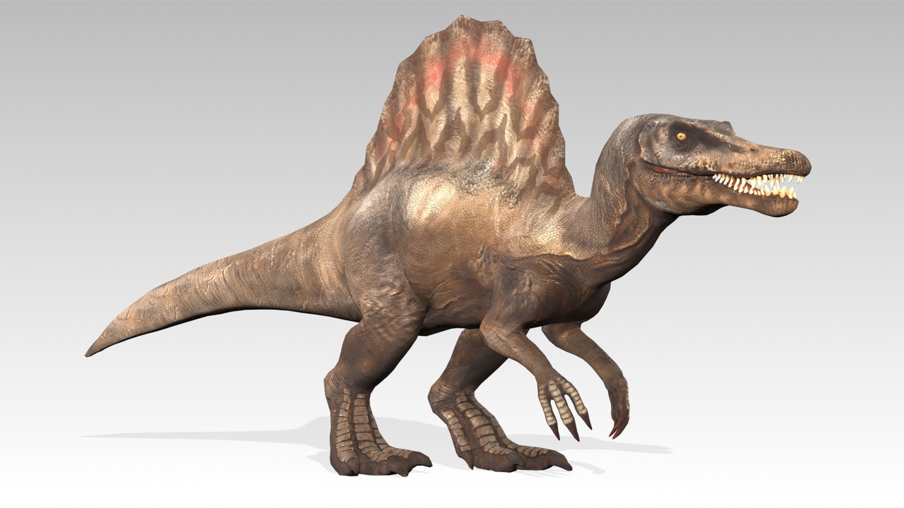 Media 1 for listing Spinosaurus Animated