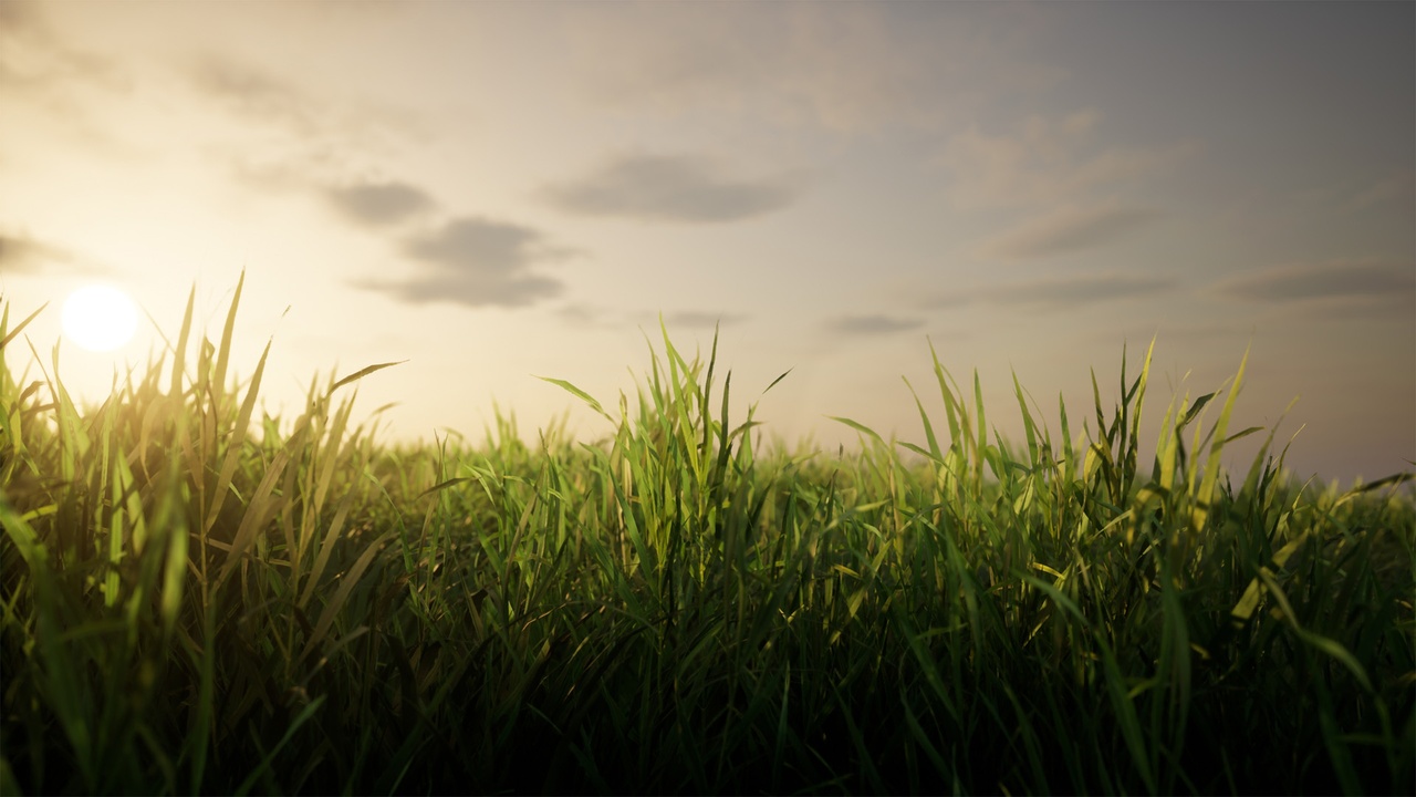 Media 1 for listing Realistic Grass Pack