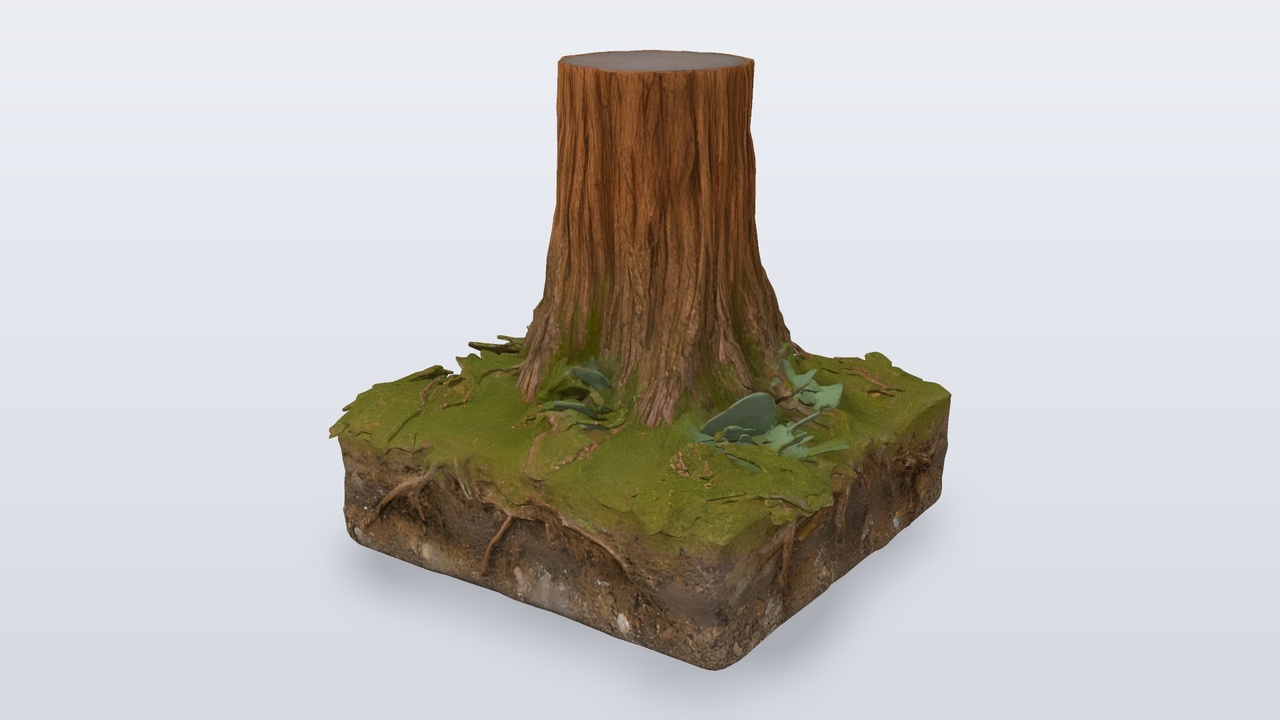 Media 1 for listing Realistic Redwood Tree Trunk On Mossy Ground