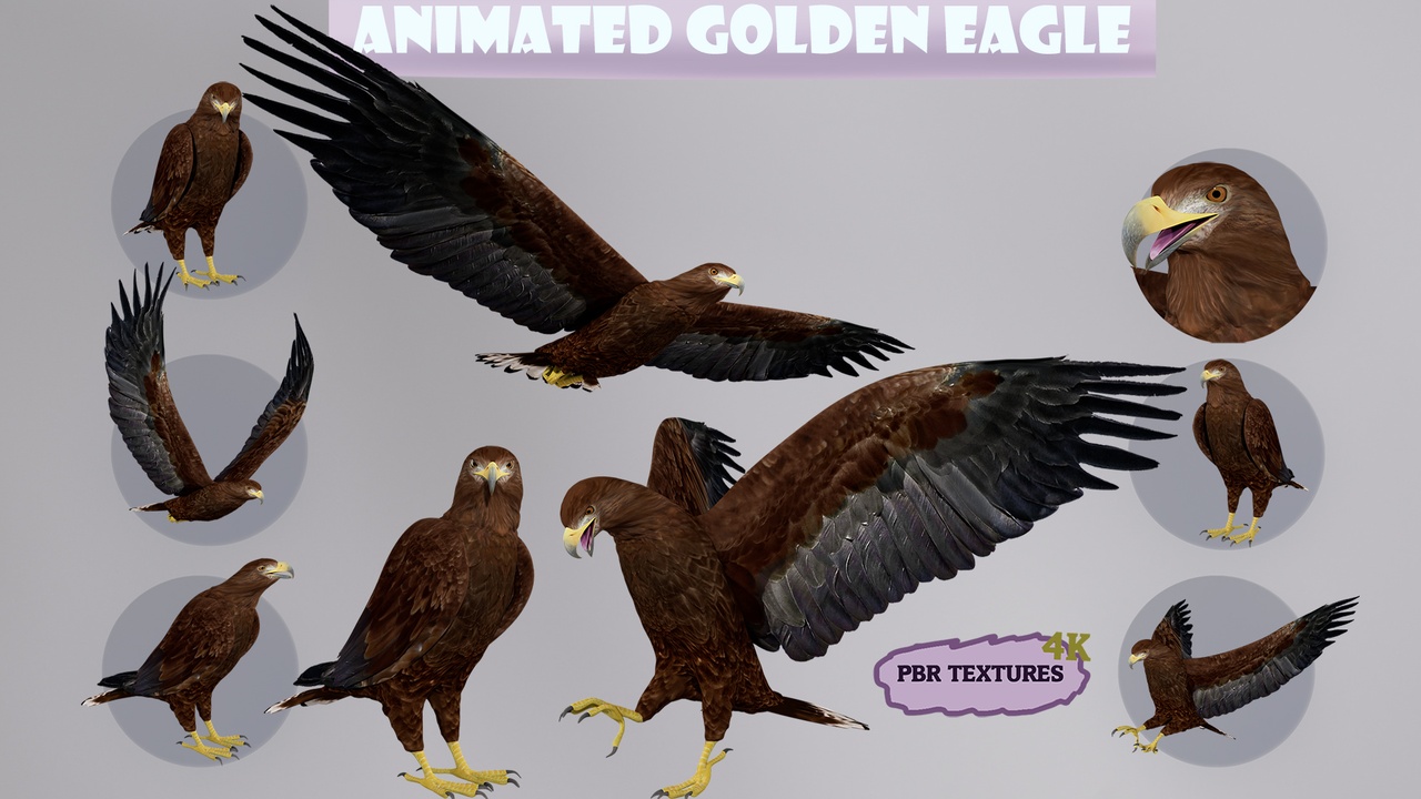 Media 1 for listing Realistic Animated Golden Eagle