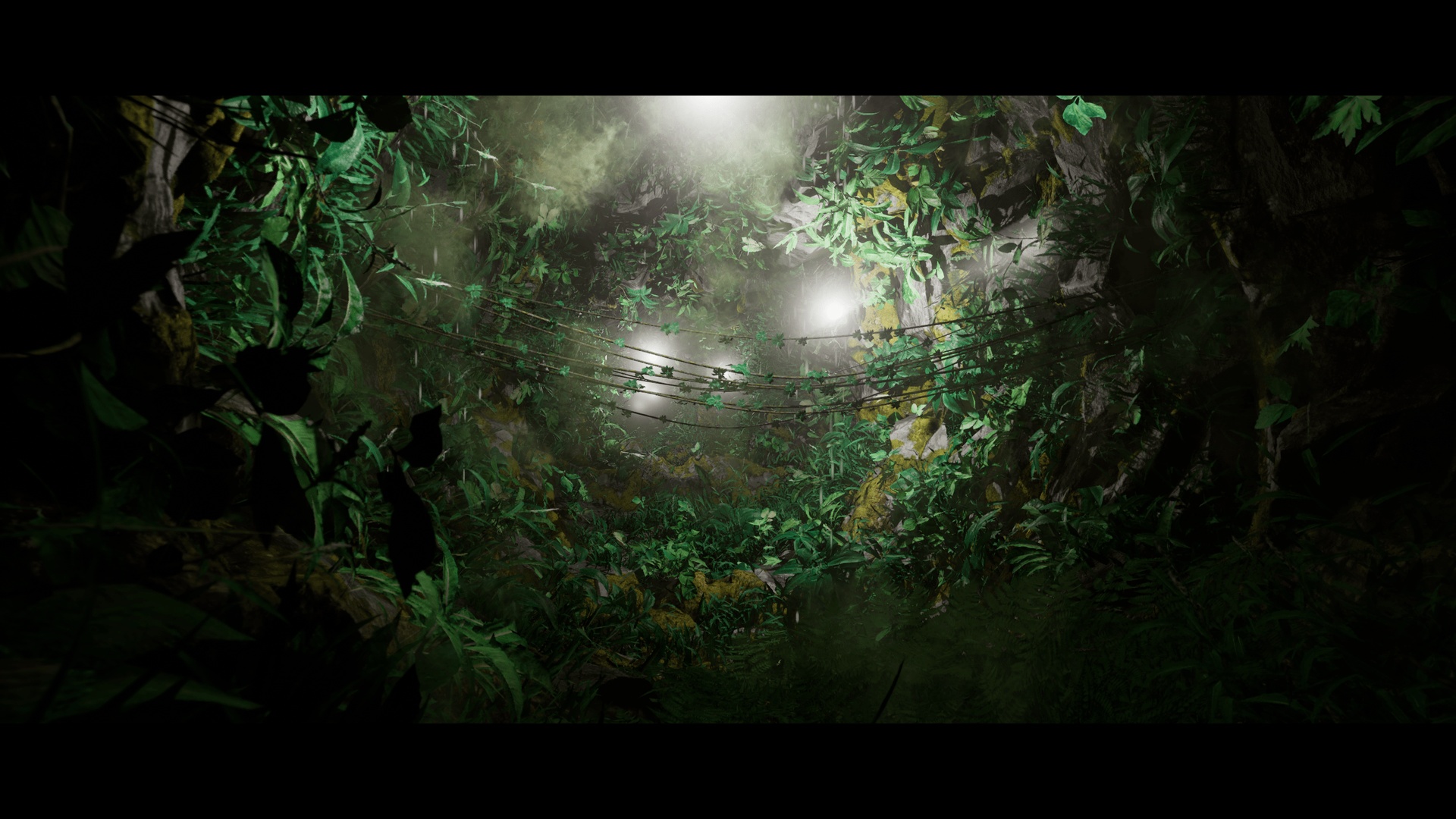 Media 1 for listing Cave Of Life