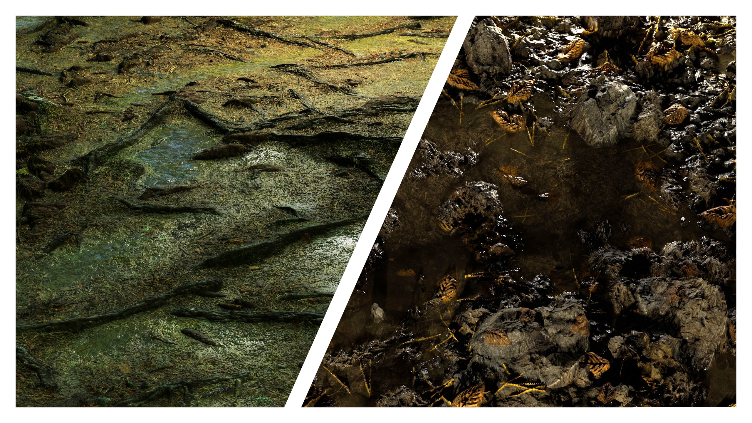 Media 1 for listing Forest Floor 8K PBR Texture Combo