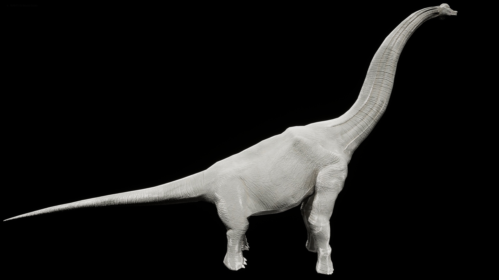 Media 1 for listing Brachiosaurus
