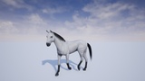 Asset image