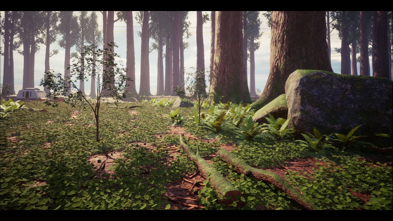 Media 1 for listing Forest Camp