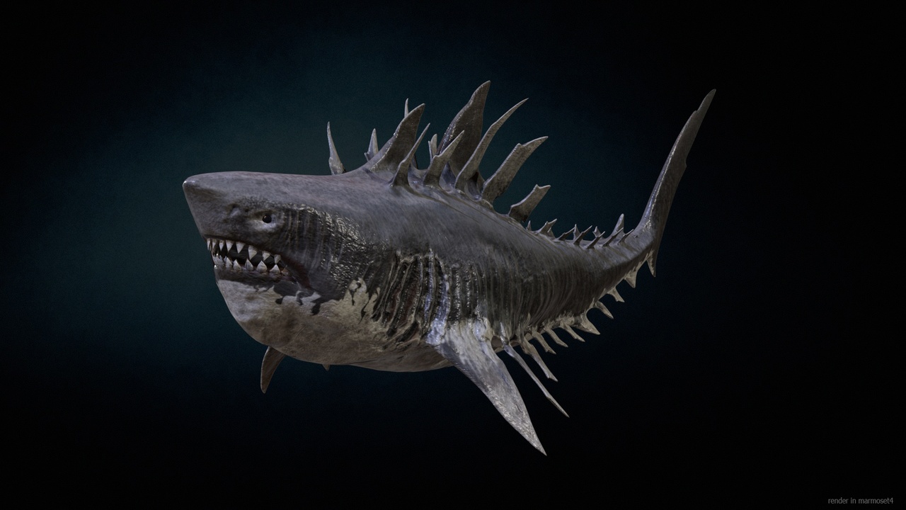 Media 1 for listing Shark4