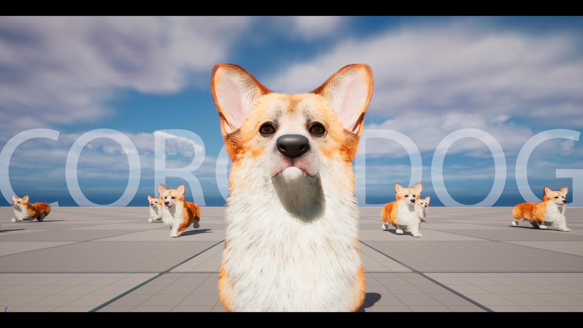 Media 1 for listing Next Gen Corgi Dog