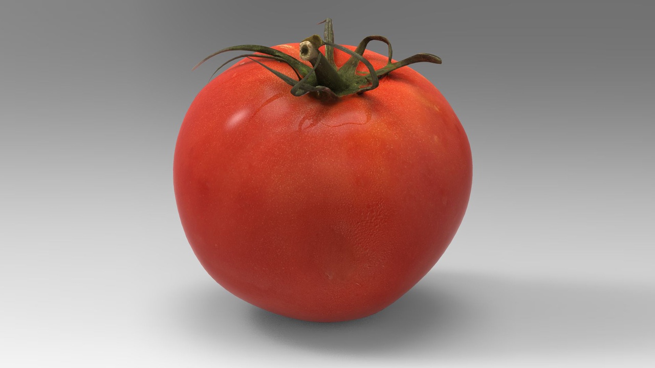 Media 1 for listing Tomato