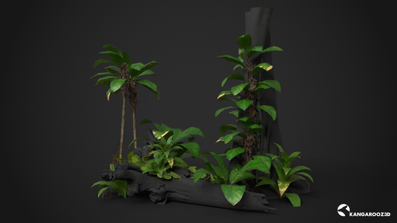 Media 1 for listing Tropical Climbing Plants Set 02
