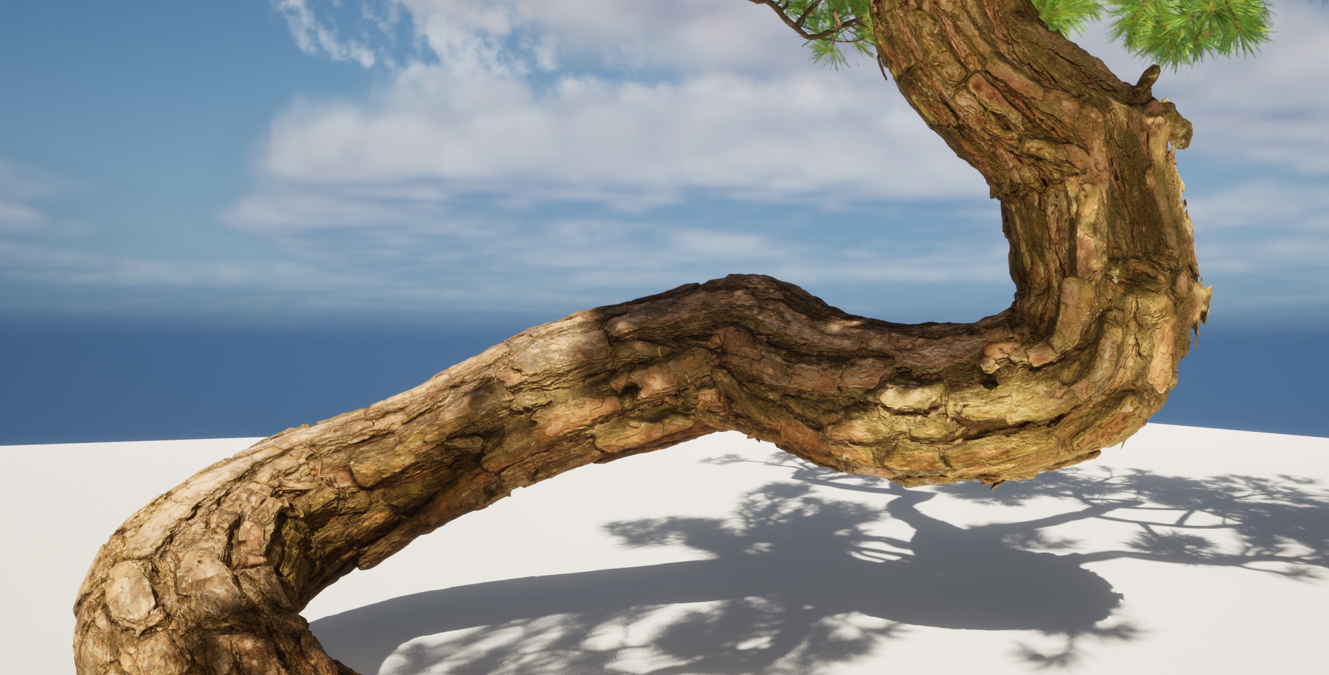 Media 1 for listing Nanite Pine Tree 15