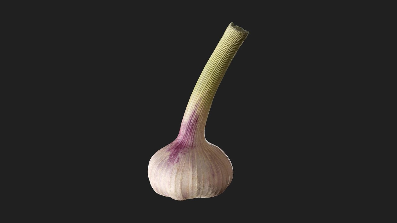 Média 1 pour l'article Garlic