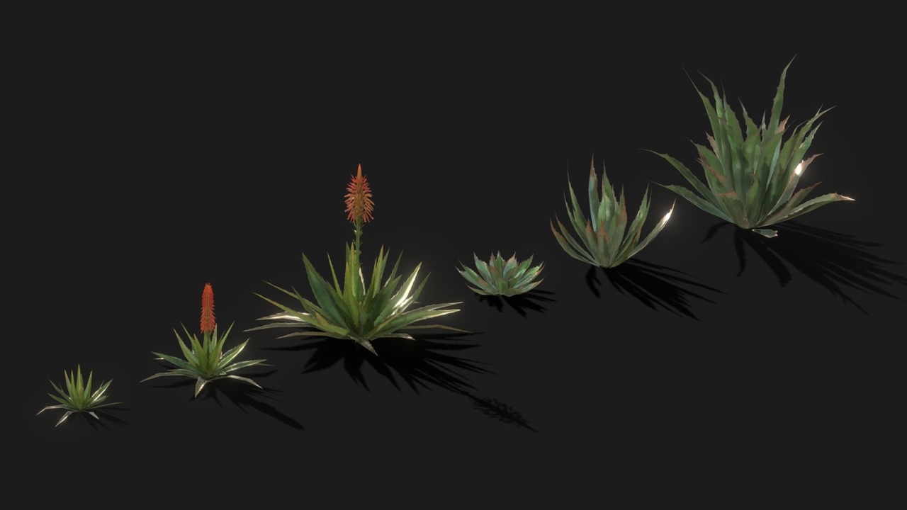 Media 1 for listing AGAVE AND ALOE