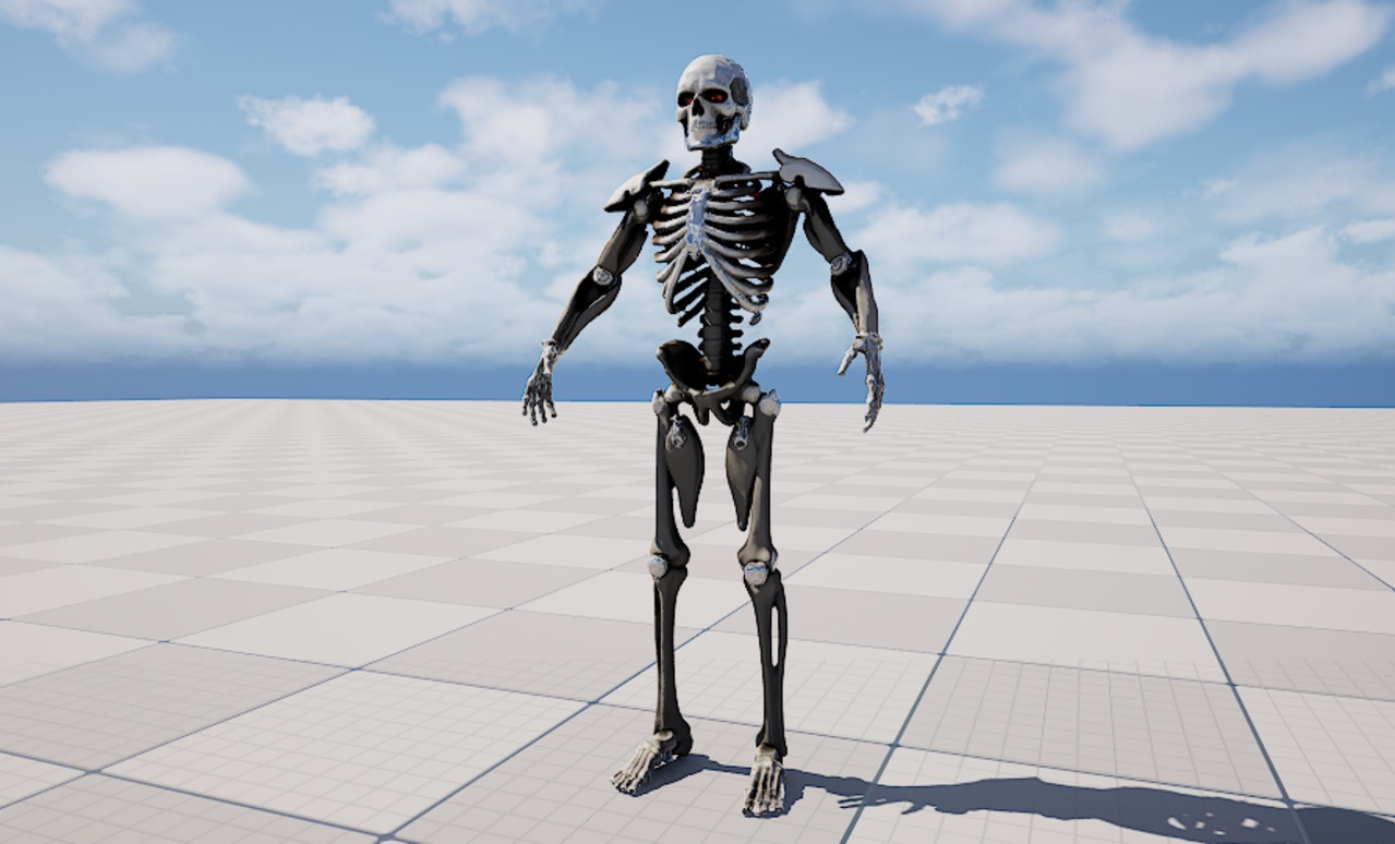 Media 1 for listing Cyber Skeleton