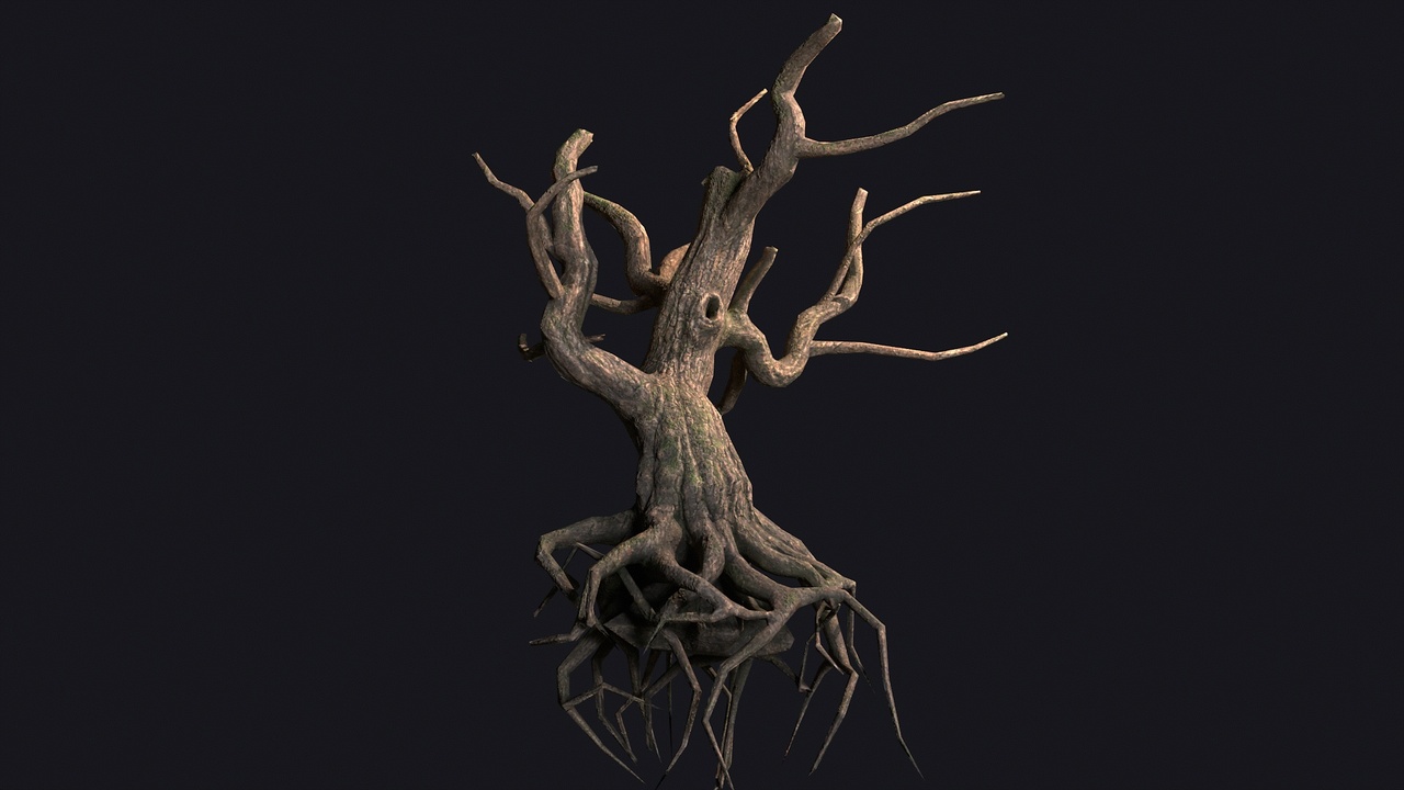 Media 1 for listing Dead Tree Roots
