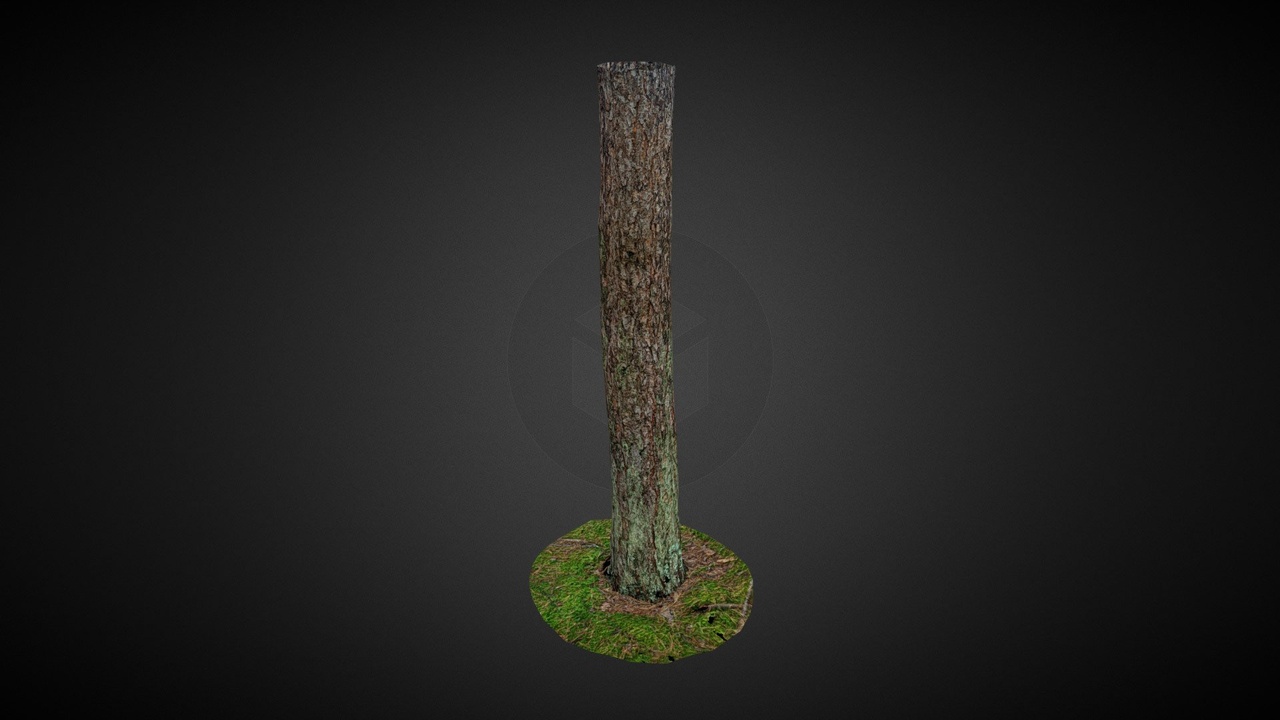 Media 1 for listing Pine trunk - low poly