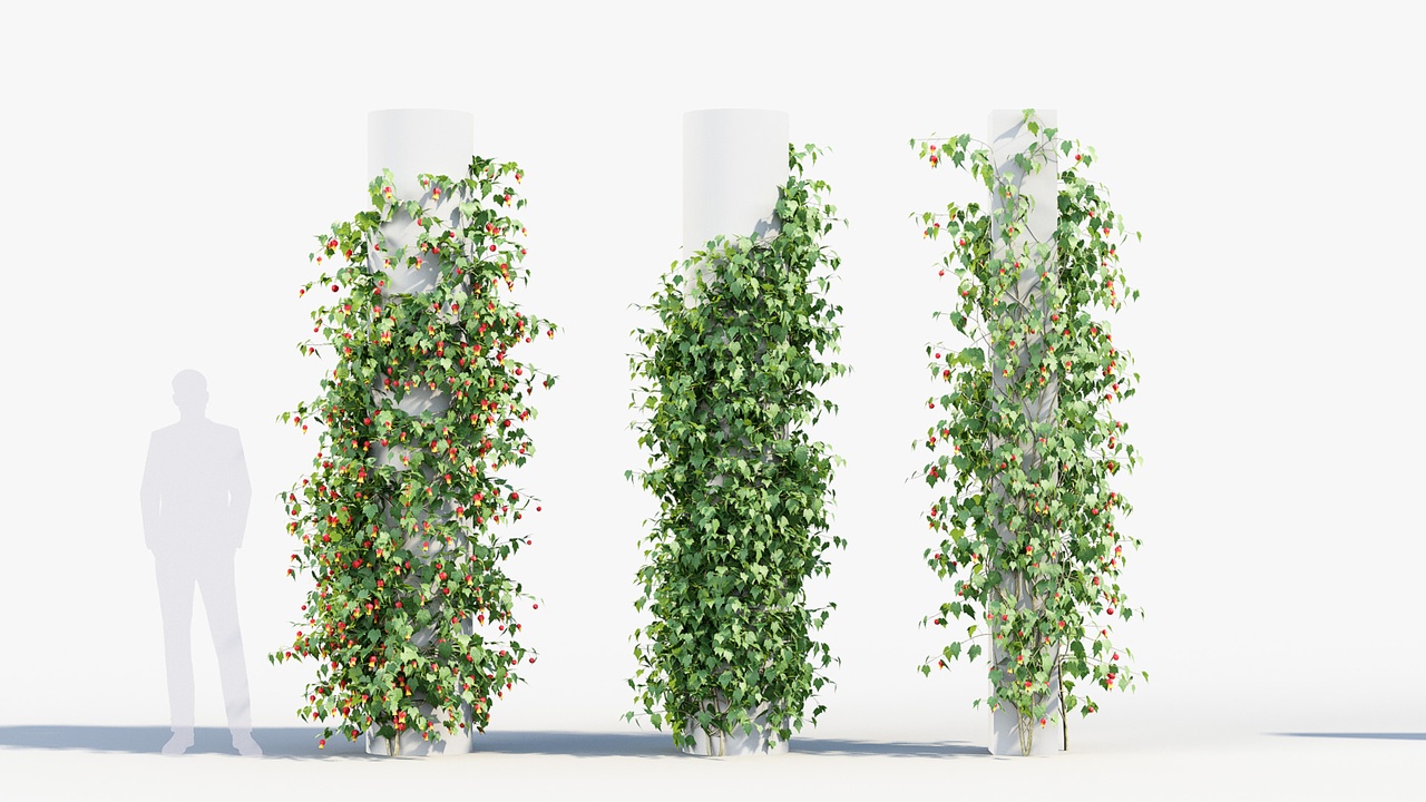 Media 1 for listing Hang Vine Collection