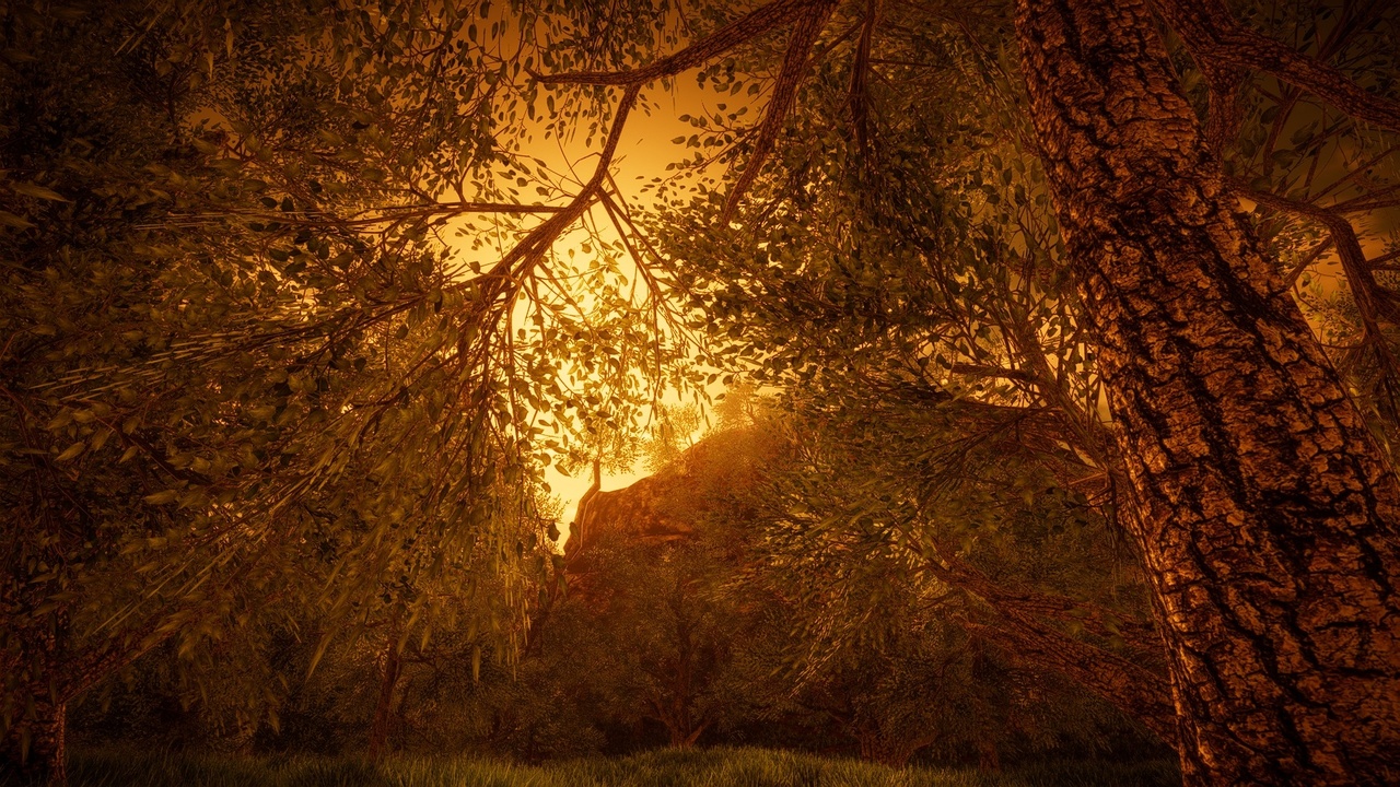 Media 1 for listing HighPoly Tree Pack #9