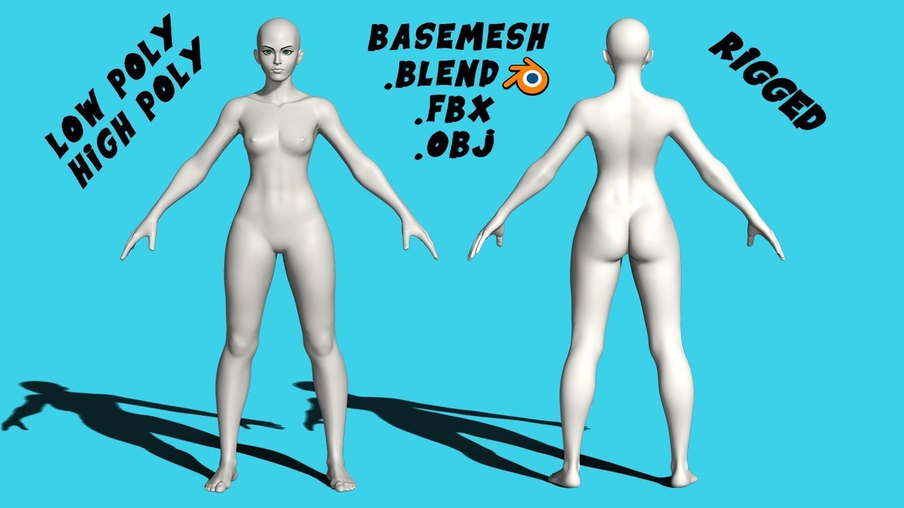 Media 1 for listing Stylized Female Anatomy, Overwatch style, rigged