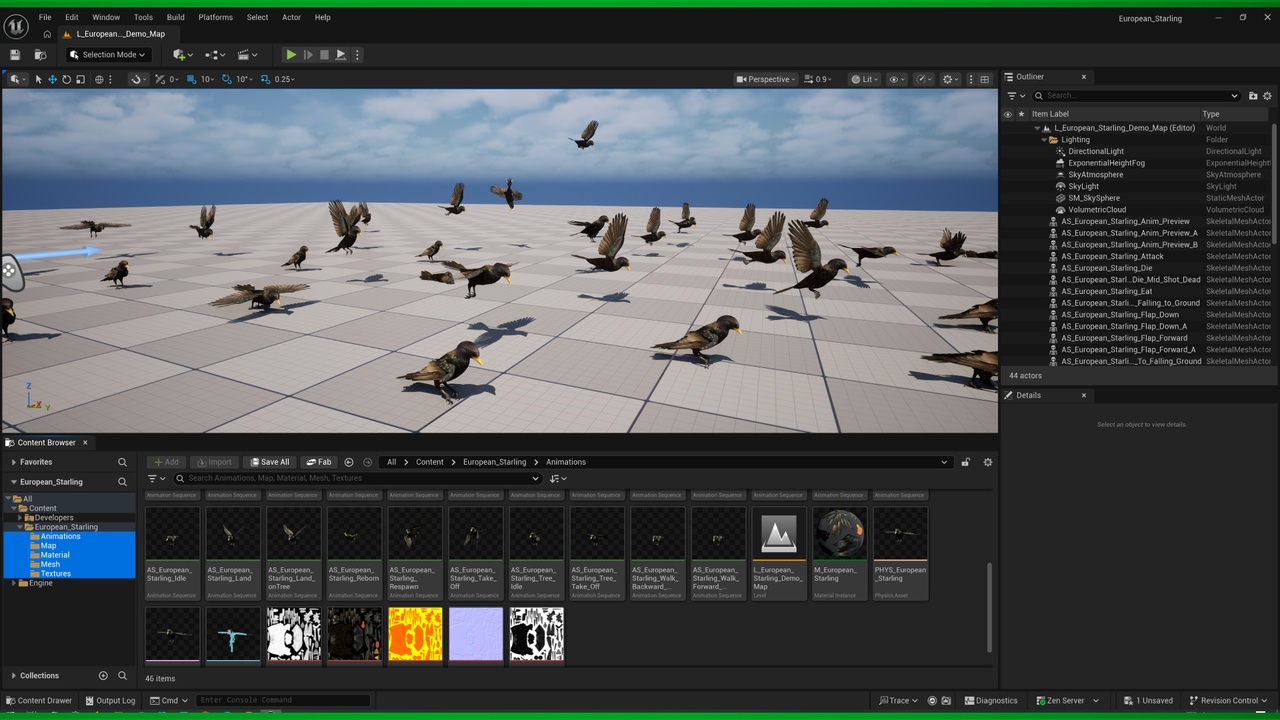 Media 1 for listing European Starling Bird