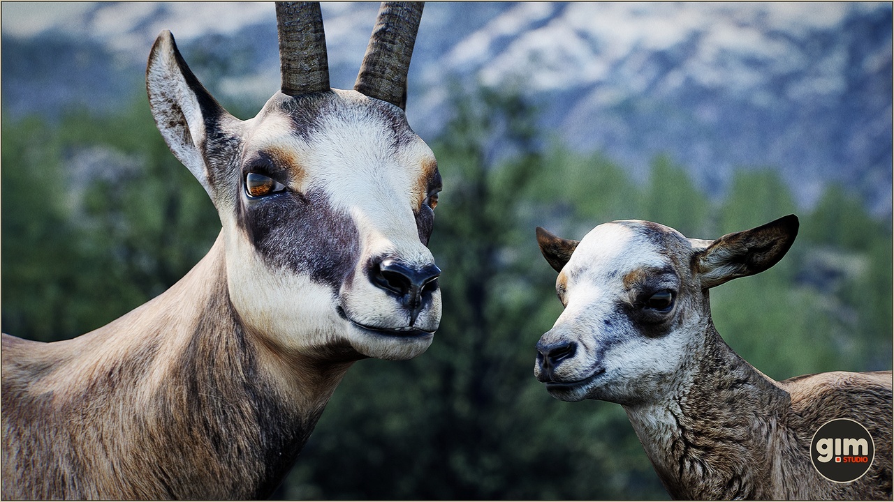 Media 1 for listing Animalia - Chamois (pack)