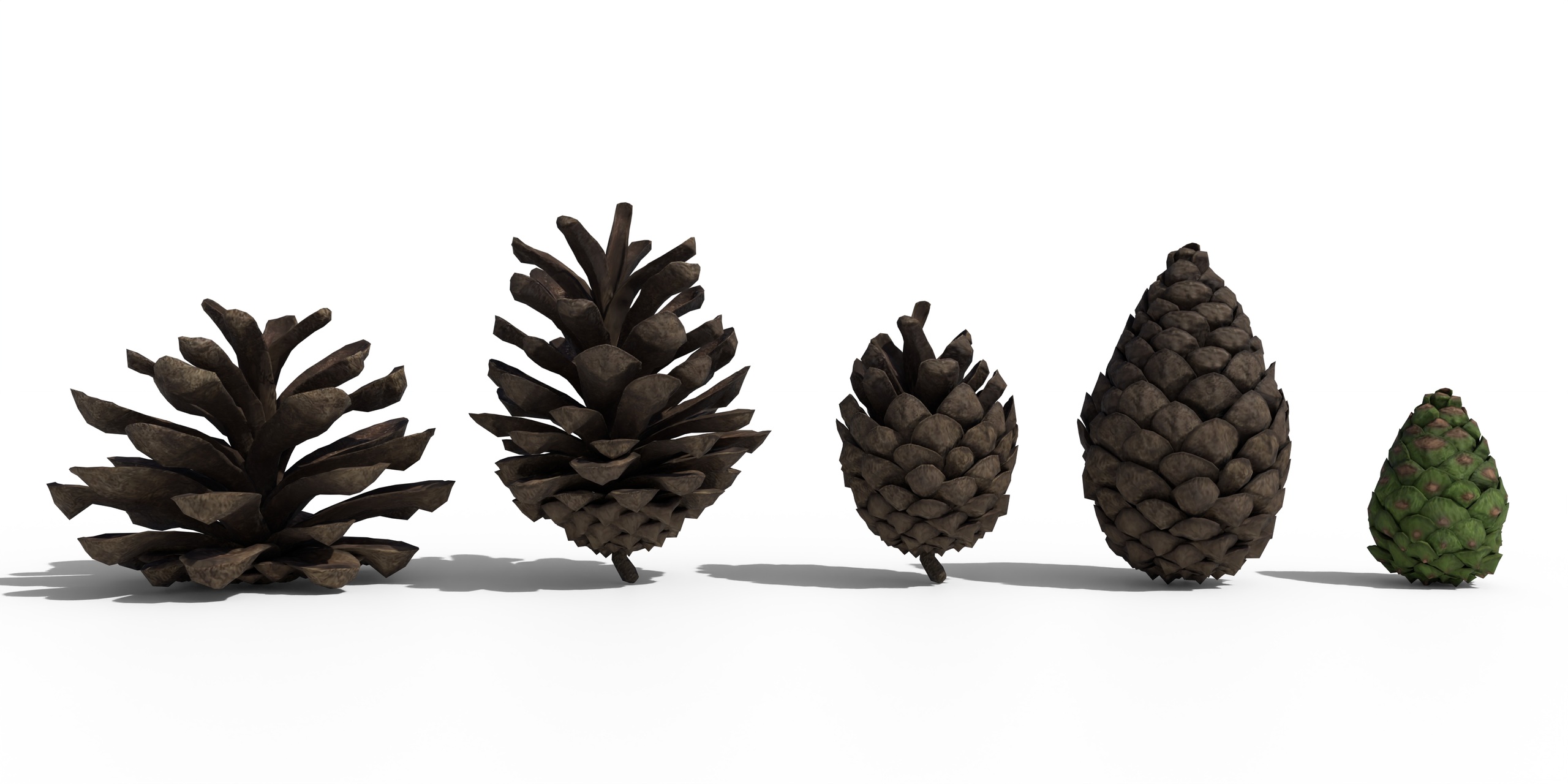 Media 1 for listing Pine Cone Pack