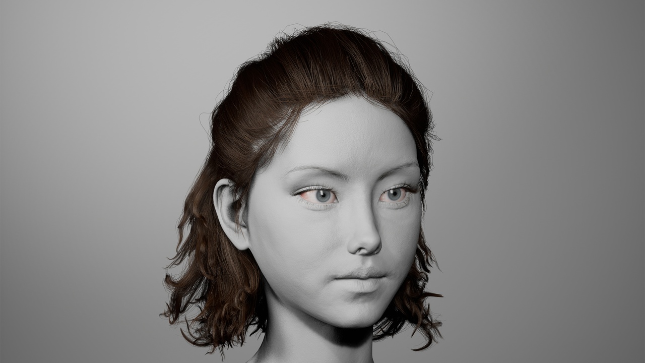 Media 1 for listing MetaHair 222- Groom hair for Metahumans - With lowpoly version in additional
