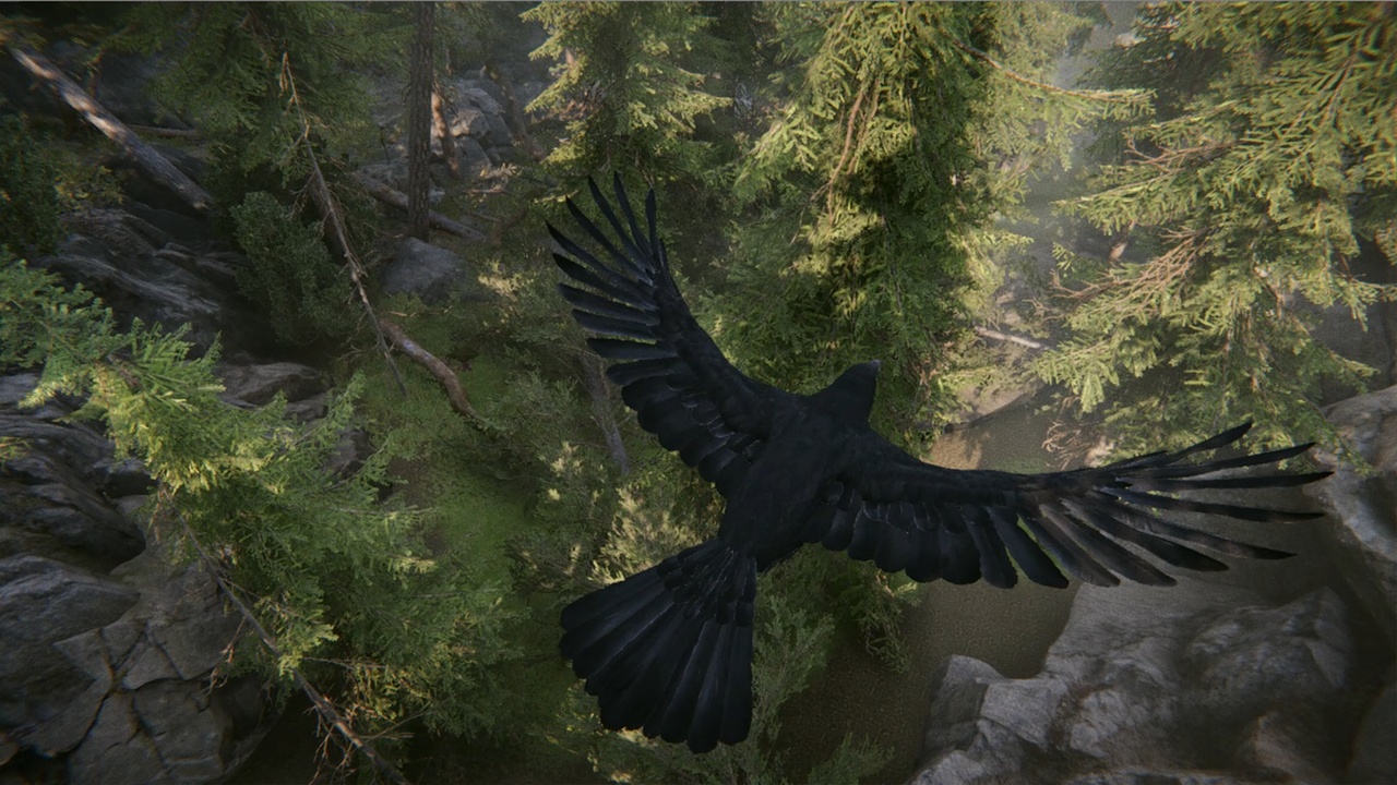Media 1 for listing Realistic Ravens and Crows