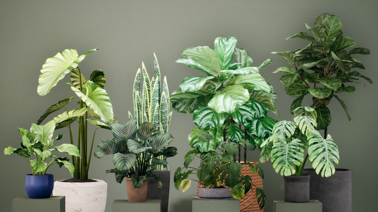 Media 1 for listing PlantDecorVol.5